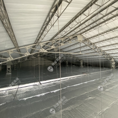 long500.jpg long500.jpg